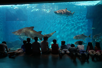 塞维利亚水族馆第 17 张图片