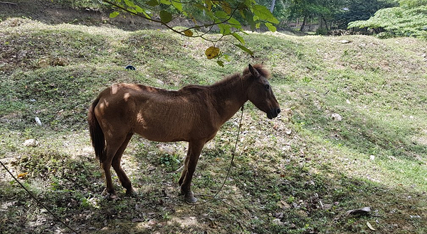 巧克力园刺激主题公园