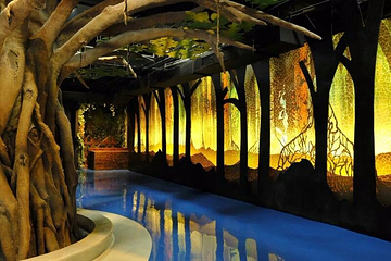 雅加达多媒体水族馆第 5 张图片