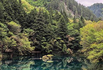 九寨沟风景区第 360 张图片