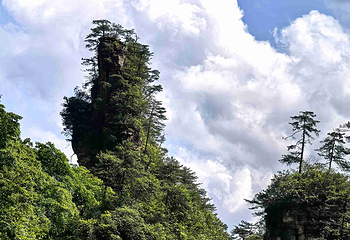 张家界国家森林公园第 301 张图片