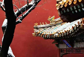 故宫博物院第 581 张图片