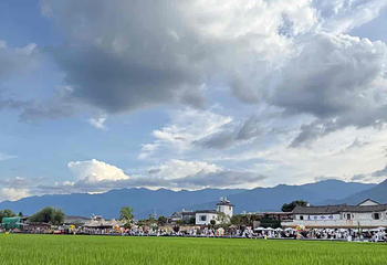 喜洲麦田小火车第 13 张图片