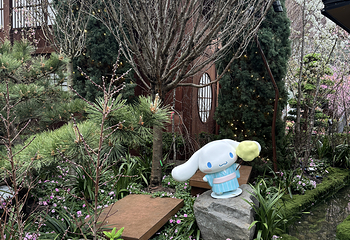 新加坡滨海湾花园第 290 张图片