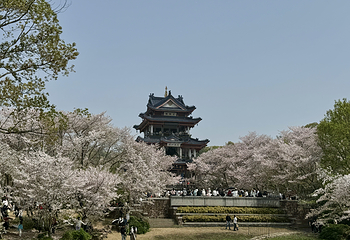 无锡市太湖鼋头渚风景区第 187 张图片