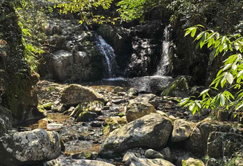 千岛湖红山谷景区第 31 张图片