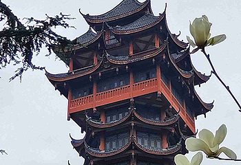 塔子山公园第 25 张图片