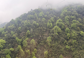 梵净山第 134 张图片