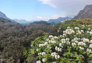 官鹅沟大景区第 37 张图片