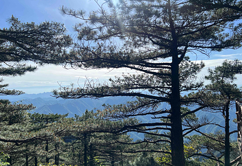 三清山风景区第 91 张图片
