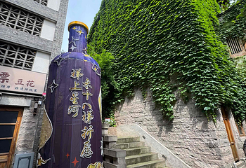 重庆十八梯传统风貌区第 62 张图片