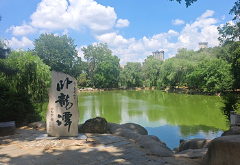 卧龙岗第 14 张图片