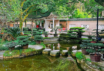鹅岭公园第 51 张图片