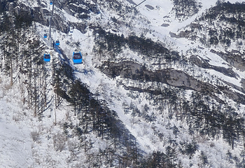 玉龙雪山第 292 张图片