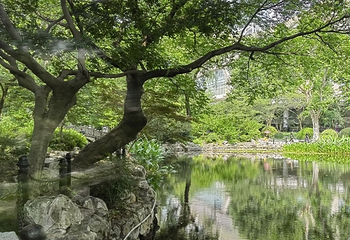 鲁迅公园第 57 张图片