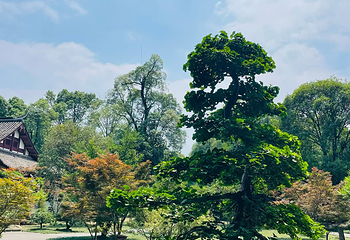 杜甫草堂第 272 张图片