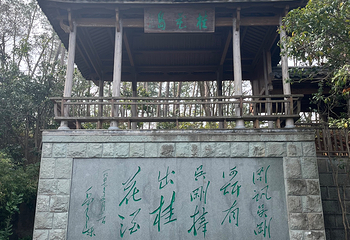 千岛湖景区第 216 张图片