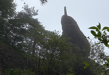 黄山风景区第 524 张图片