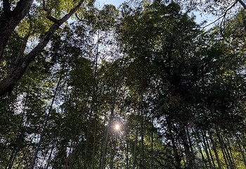 缙云仙都景区第 164 张图片
