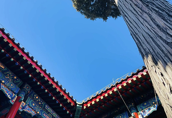 恭王府第 201 张图片