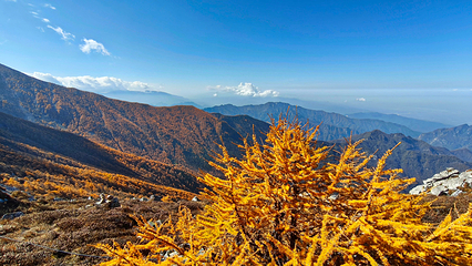 太白山国家森林公园第 10 张图片