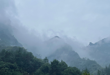 天门山国家森林公园第 630 张图片