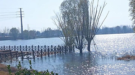 临邑县凤鸣湖湿地公园第 1 张图片