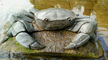 五龙潭公园-龙潭观鱼