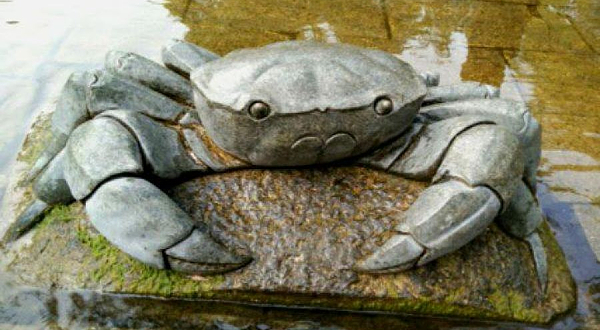 五龙潭公园-龙潭观鱼