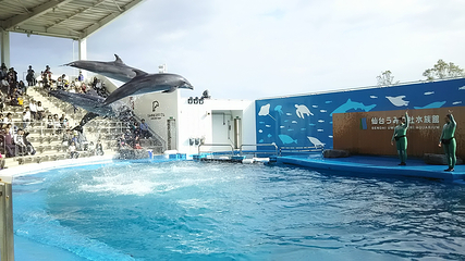 仙台海洋森林水族馆第 4 张图片