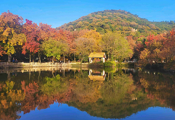 天平山第 25 张图片