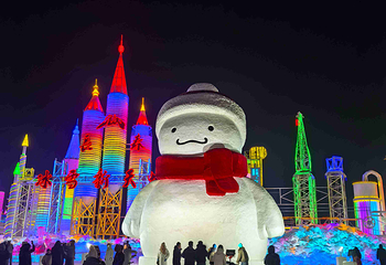 长春冰雪新天地第 59 张图片