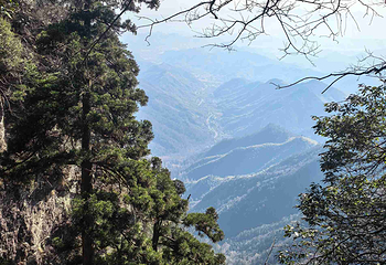 天目山自然保护区第 89 张图片