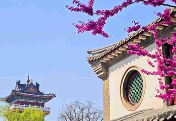 十笏园第 41 张图片