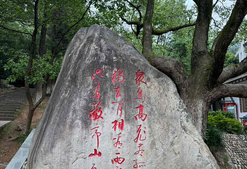 敬亭山第 51 张图片
