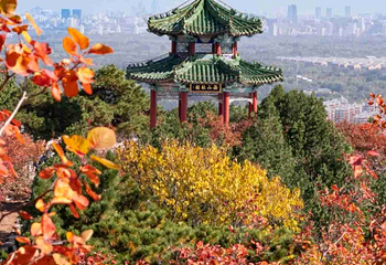 北京西山国家森林公园第 43 张图片