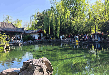趵突泉景区第 98 张图片