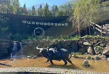 云和梯田景区第 58 张图片