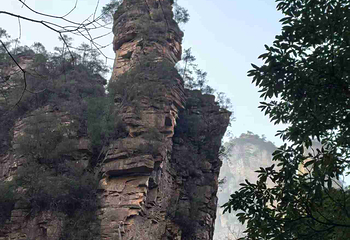 张家界国家森林公园第 404 张图片