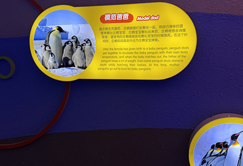 日照海洋公园第 159 张图片