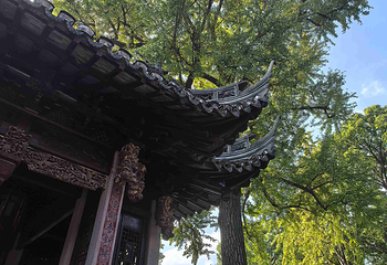 豫园第 193 张图片