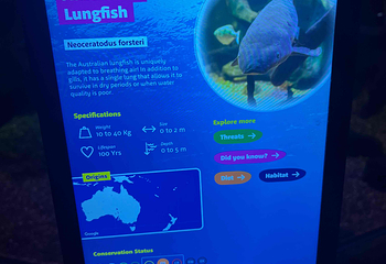 悉尼水族馆第 54 张图片