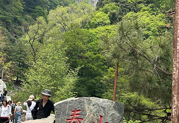 泰山风景区第 120 张图片