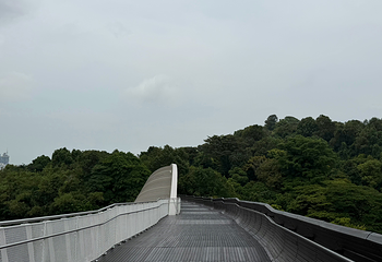 花柏山公园第 122 张图片