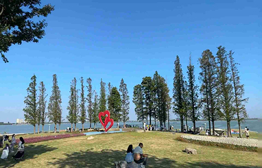 淀山湖风景区第 39 张图片