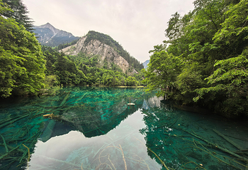 九寨沟风景区第 132 张图片