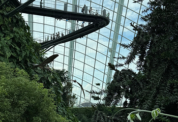 新加坡滨海湾花园第 129 张图片