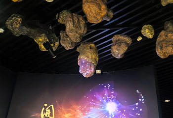 宜昌博物馆第 36 张图片