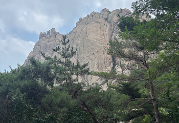 崂山风景区第 196 张图片