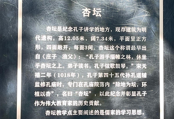 曲阜三孔景区第 231 张图片